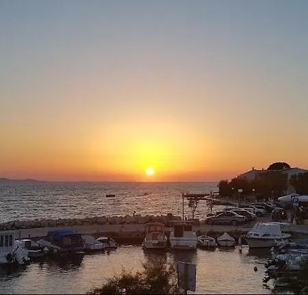 Lipotica Diklo * Zadar