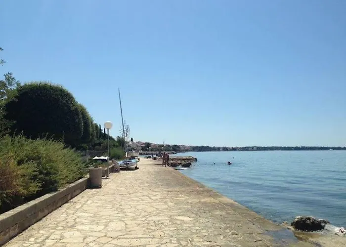Lipotica Diklo *